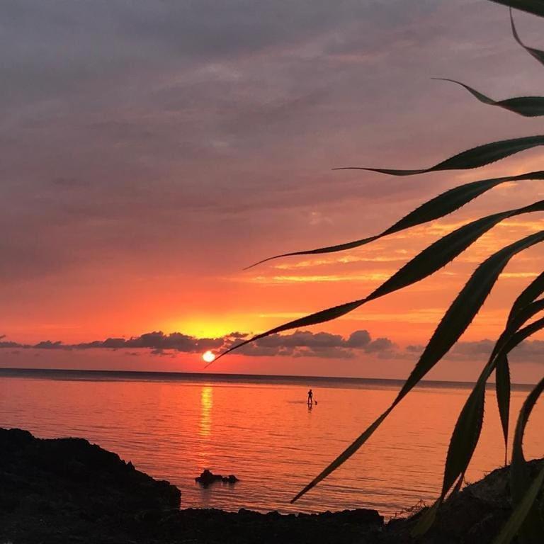Tropical Surf House Okinawa Hotel อนนะ ภายนอก รูปภาพ