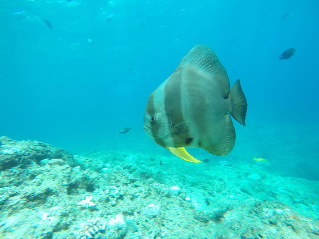 Tropical Surf House Okinawa Hotel อนนะ ภายนอก รูปภาพ